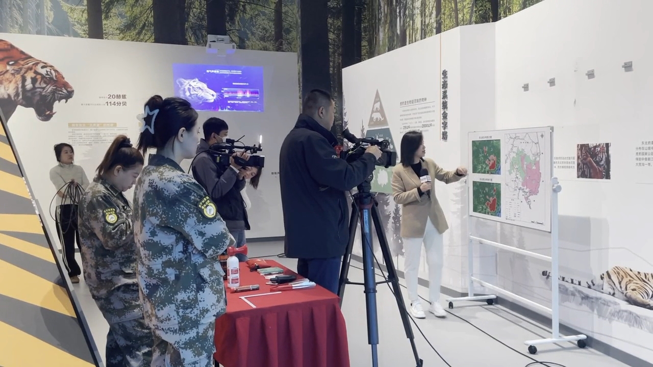 央视直播走进东宁&ensp;探访虎豹科普宣教中心